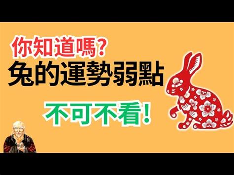 塔位座向|學會塔位怎麼選？坐向、方位一次掌握！ 